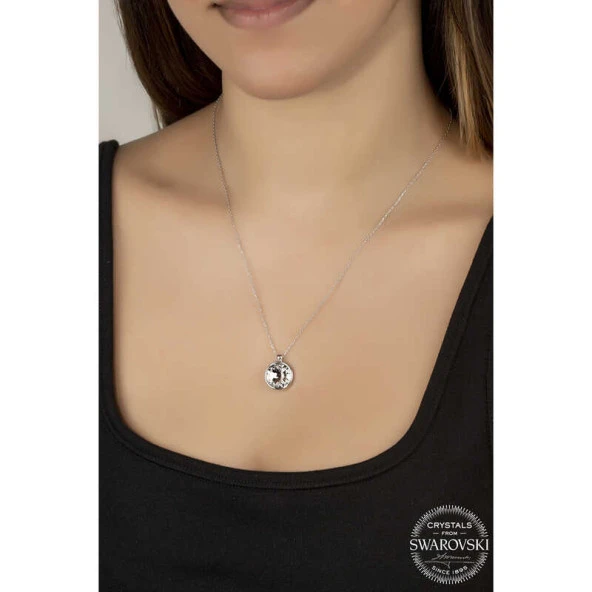 Swarovski Crystal Taşlı Çerçeveli Gümüş Kadın Kolye ürün görseli 1