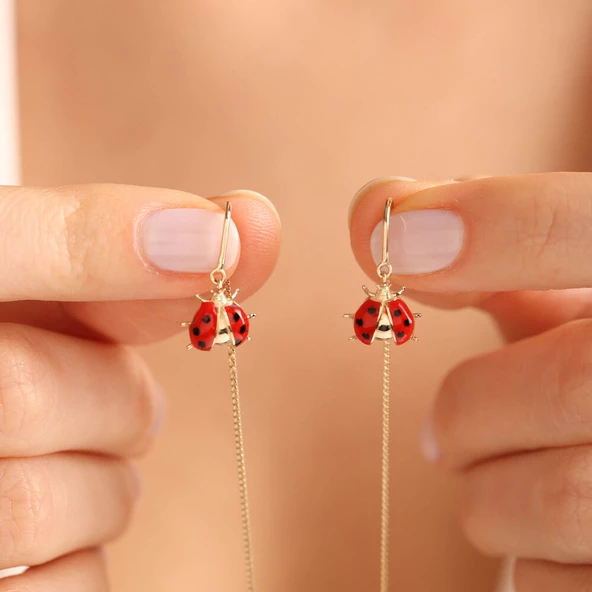 14 Ayar Altın Ladybug Küpe ürün görseli 1