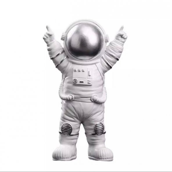 ASTRONOT DEKOR BİBLO ürün görseli 1