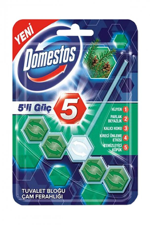 Wc Blok 5Li Güç Çam Ferahlığı 55 G ürün görseli 1