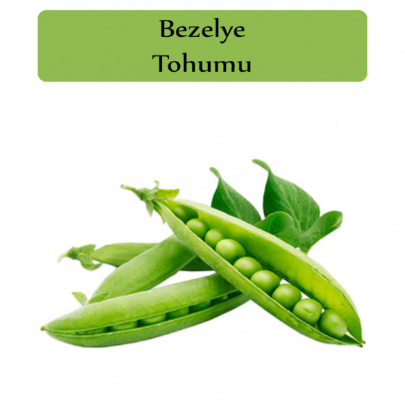 Bezelye Tohumu 1 Paket Kapalı Paket Yüksek Verimli Tohum Bezelye Bitki Tohumu ürün görseli 1