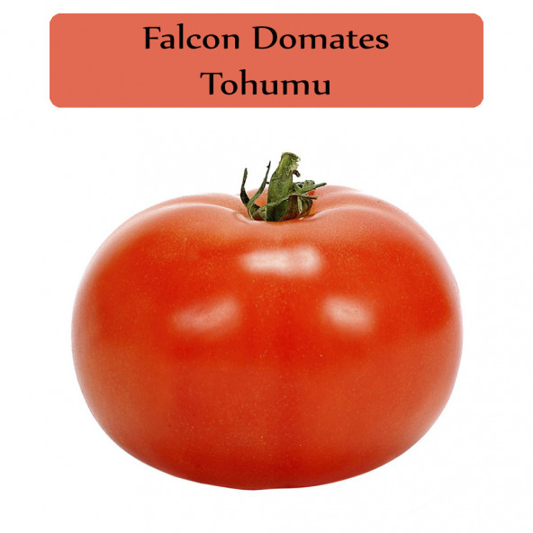 Domates Tohumu 1 Paket İri Etli Domates Falcon Domates Tohumu Kapalı Paket Yüksek Verimli Tohum ürün görseli 1