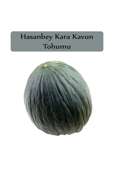 Hasanbey Kavun Tohumu 1 Paket Kara Kavun Kapalı Paket Yüksek Verimli Tohum Karakavun ürün görseli 1