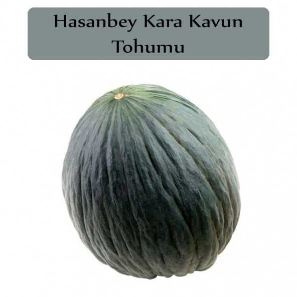 Hasanbey Kavun Tohumu 1 Paket Kara Kavun Kapalı Paket Yüksek Verimli Tohum Karakavun ürün görseli 1