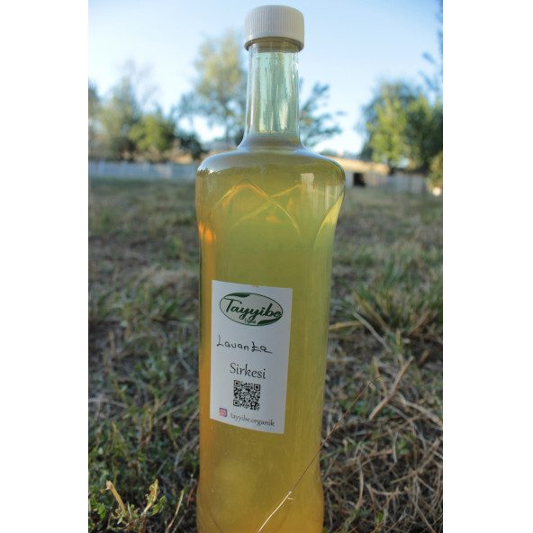 Lavanta Sirkesi 500ml - Resim 2