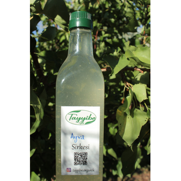Ayva Sirkesi 500ml ürün görseli 1