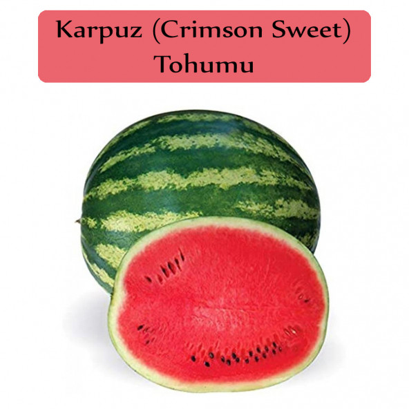 Karpuz Tohumu 1 Paket Crimson Sweet Karpuz Tohumu Kapalı Paket Yüksek Verimli Tohum ürün görseli 1