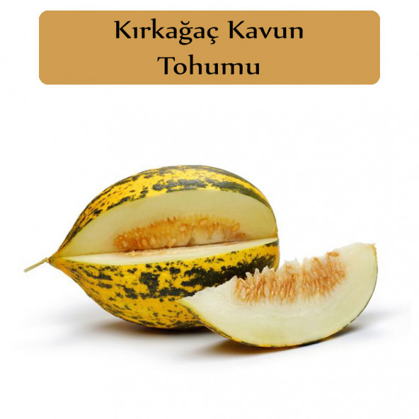 Kırkağaç Kavun Tohumu 1 Paket Kırk Ağaç Kavun Tohumu Kapalı Paket Yüksek Verimli Tohum Sarı Kavun ürün görseli 1