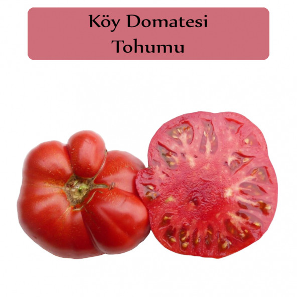 Köy Domatesi Tohumu 1 Paket Domates Tohumu Kapalı Paket Yüksek Verimli Tohum ürün görseli 1