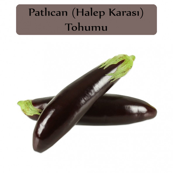 Patlıcan Tohumu Halep Karası 1 Paket Kapalı Paket Yüksek Verimli Tohum Halep Patlıcanı ürün görseli 1