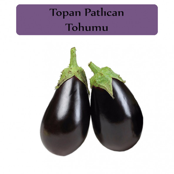 Patlıcan Tohumu 1 Paket Topan Patlıcan Tohumu Kapalı Paket Yüksek Verimli Tohum ürün görseli 1