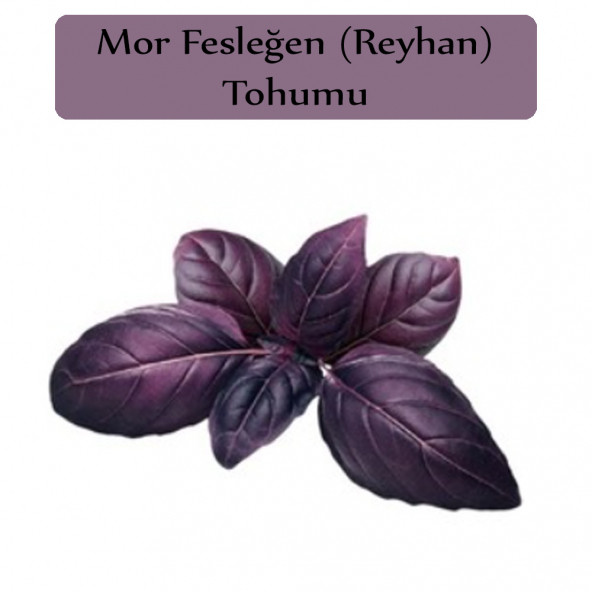 Reyhan Tohumu 1 Paket Mor Reyhan Tohumu Mor Fesleğen Tohumu Kapalı Paket Yüksek Verimli Tohum ürün görseli 1