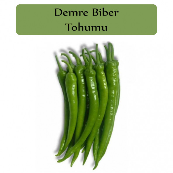 Sera Demre Biber Tohumu 1 Paket Demre Biber Tohumu Kapalı Paket Yüksek Verimli Tohum ürün görseli 1