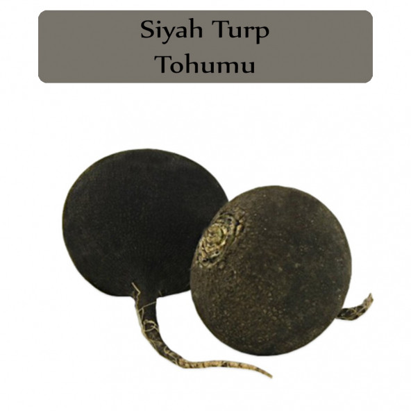 Siyah Turp Tohumu 1 Paket Turp Tohumu Siyah Kapalı Paket Yüksek Verimli Tohum ürün görseli 1