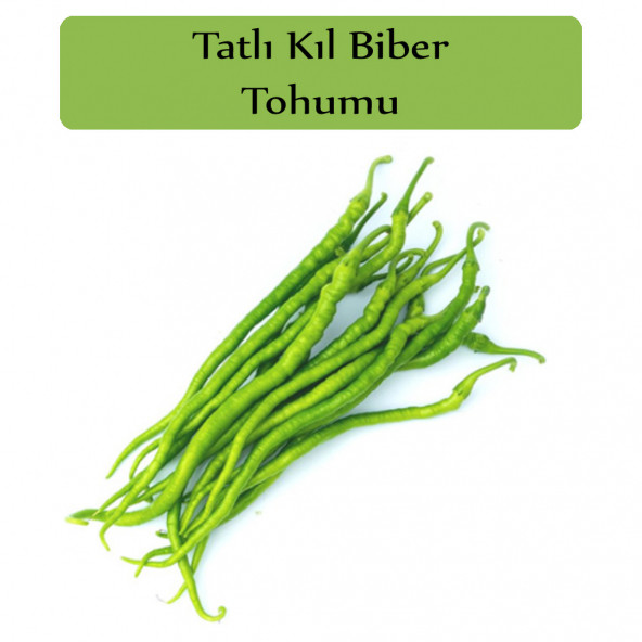Tatlı Kıl Biber Tohumu 1 Paket Tatlı Biber Tohumu Kapalı Paket Yüksek Verimli Tohum ürün görseli 1