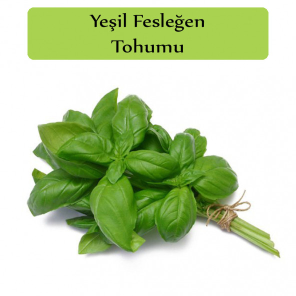 Yeşil Reyhan Tohumu Yeşil Fesleğen 1 Paket Fesleğen Tohumu Kapalı Paket Yüksek Verimli Tohum ürün görseli 1