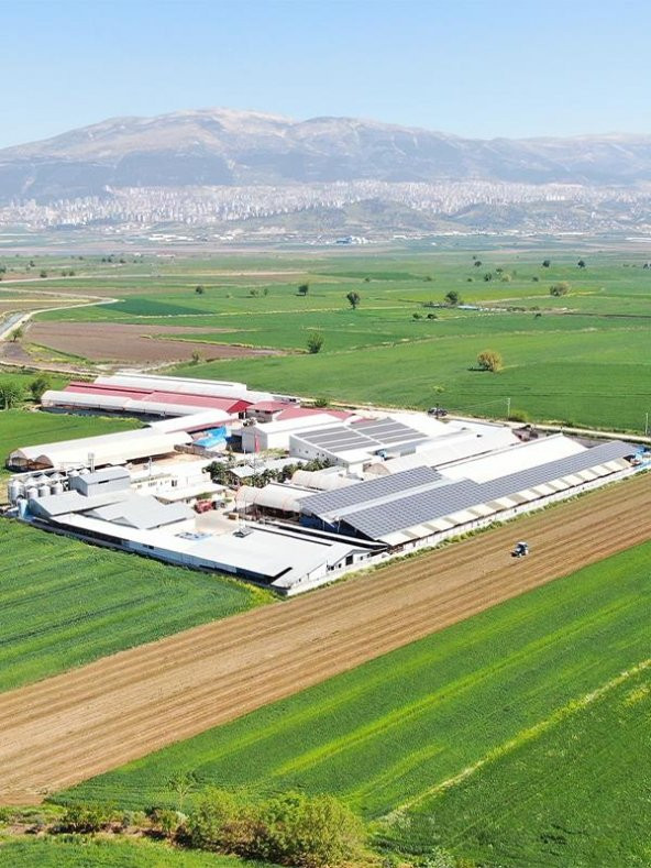 Doğal Tahin 400 Gr - Resim 3