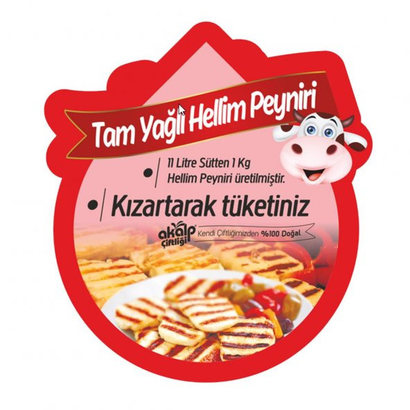 Tam Yağlı Hellim Peyniri 500 Gr - Resim 3
