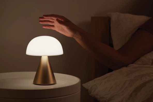 Lexon Mina L Led Lamba - Resim 3
