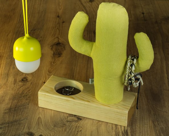 Kayigo Cactus XL + Station Organizer - Resim 2