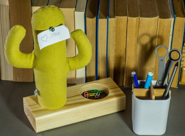 Kayigo Cactus XL + Station Organizer - Resim 3