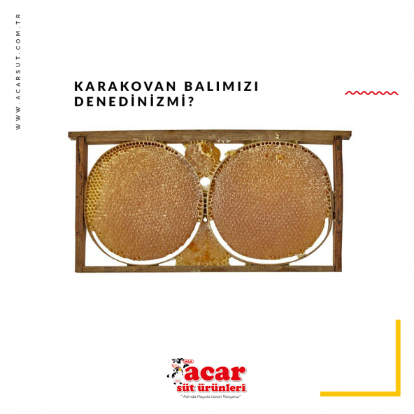 Kara Kovan Bal 3 Kg. ürün görseli 1
