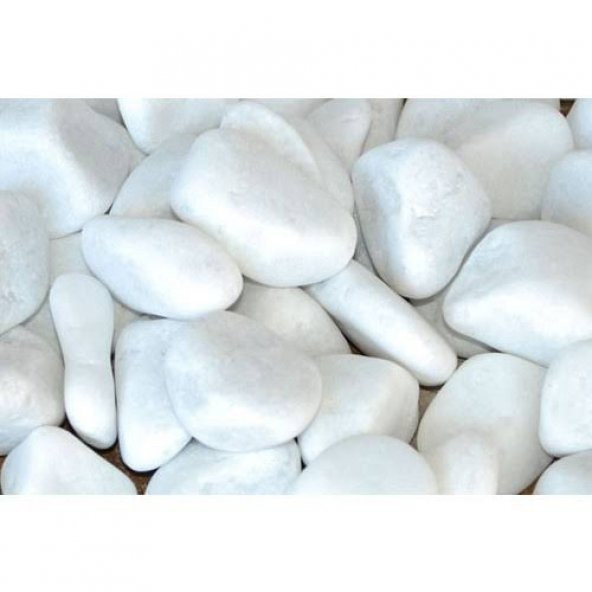 Dolomit Taş 6-10 cm 5 Kg Beyaz Taş Bahçe Taşı Teraryum Akvaryum Taşı ürün görseli 1