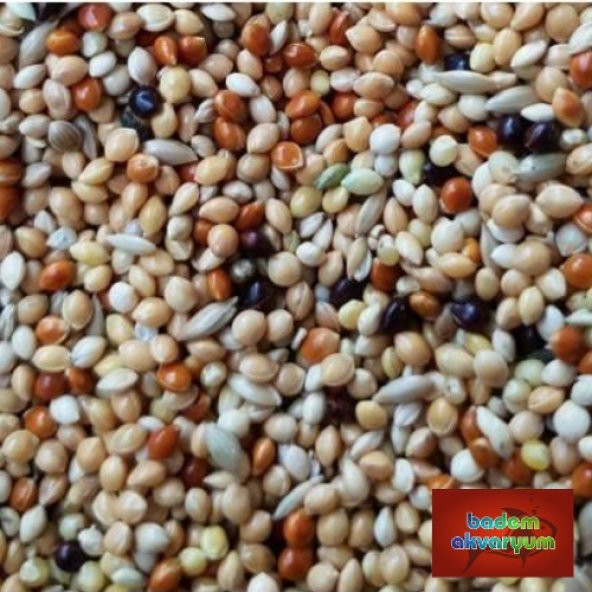 Karışık Muhabbet Kuşu Yemi 5 Kg Kaliteli ürün görseli 1