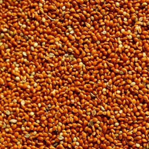 Kızıl Darı Kırmızı Darı Kuş Yemi Dökme 180 Gr ürün görseli 1