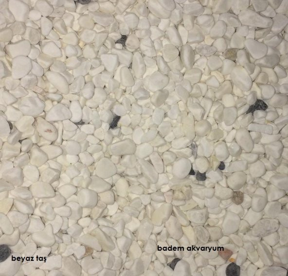 Akvaryum Beyaz Taş 1cm 10 kg Beyaz Taş Akvaryum Taşı Bahçe Taşı ürün görseli 1