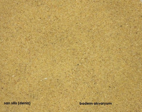 Akvaryum Sarı Silis Kum 0,1 mm 5 kg Deniz Kum İnce ürün görseli 1