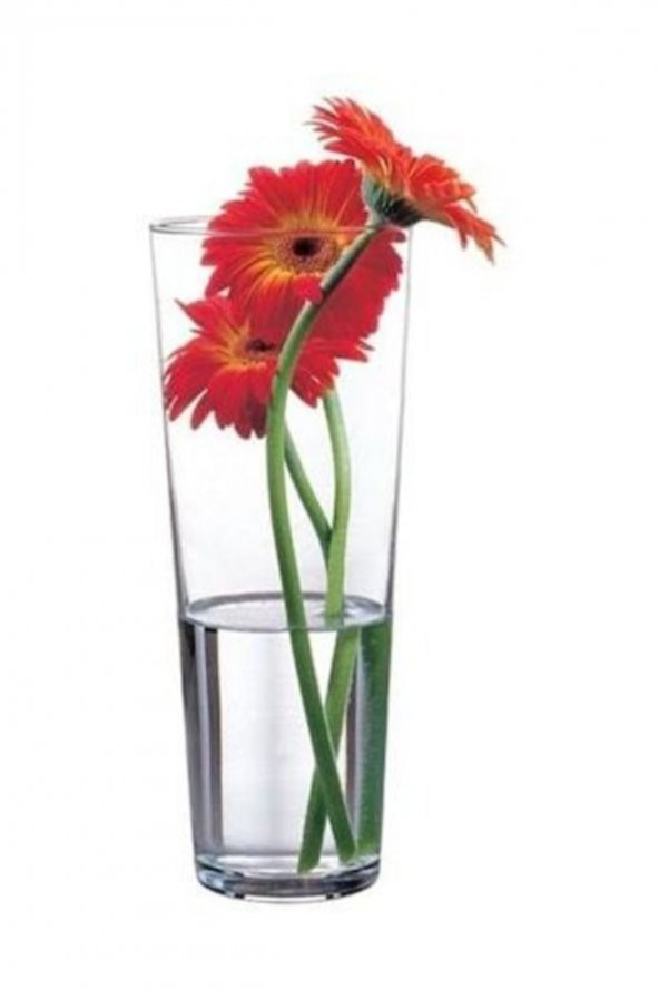 Paşabahçe 43177 cam vazo - botanica vazo 26 cm. ürün görseli 1