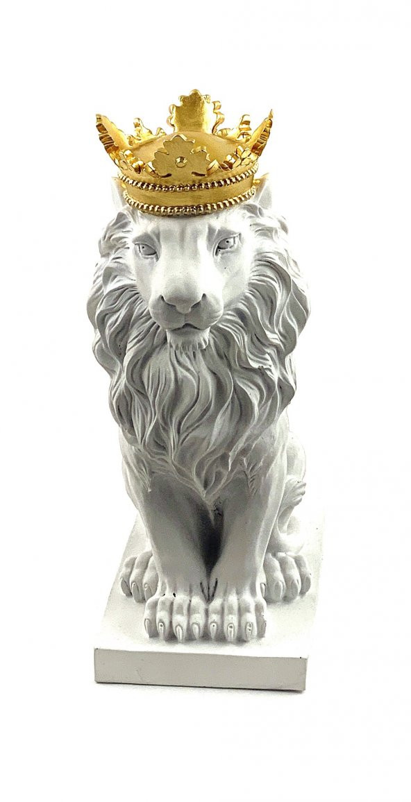 ASLAN-HF103-7 ürün görseli 1