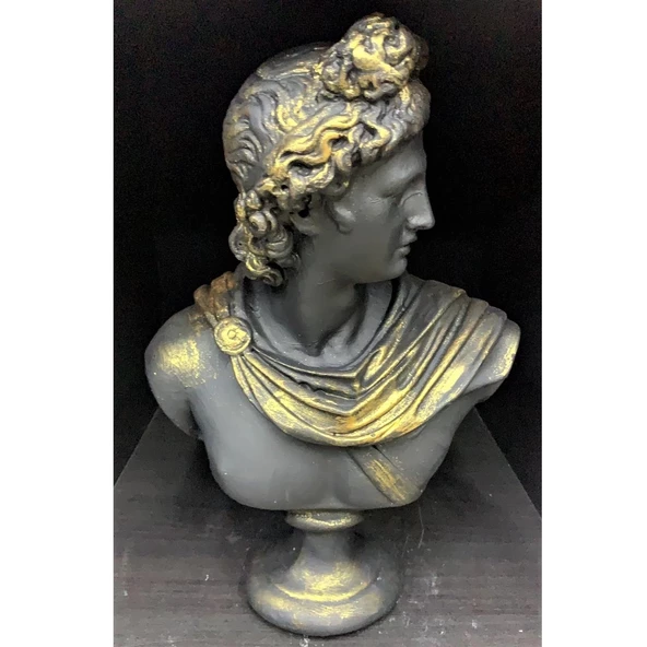 APOLLON-HK102-5 - Resim 2