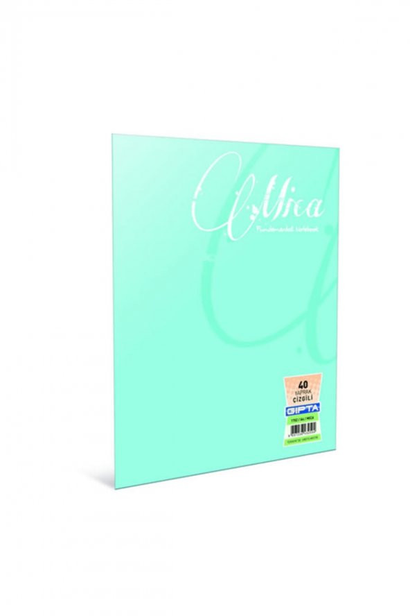 Gıpta Mıca A4 100 Yaprak Çizgili Tel Dikişli Defter ürün görseli 1