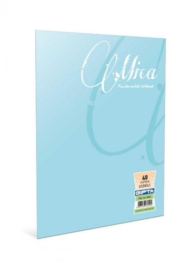 Gıpta 60 Yaprak A5 Mica Tel Dikiş Plastik Kapak Kareli Defter 1712 ürün görseli 1