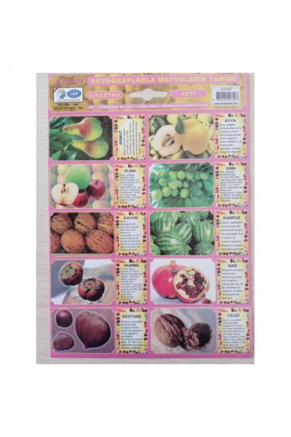 Livan Sticker Meyveler Tanıtım Seti - Resim 2