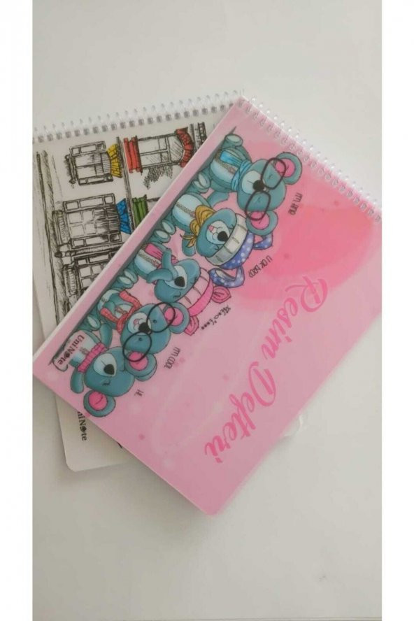 ÇINAR DİZAYN Unı Note 17x24 Spiralli Pp Kapak 25 Yaprak Resim Defteri (2 Adet) ürün görseli 1