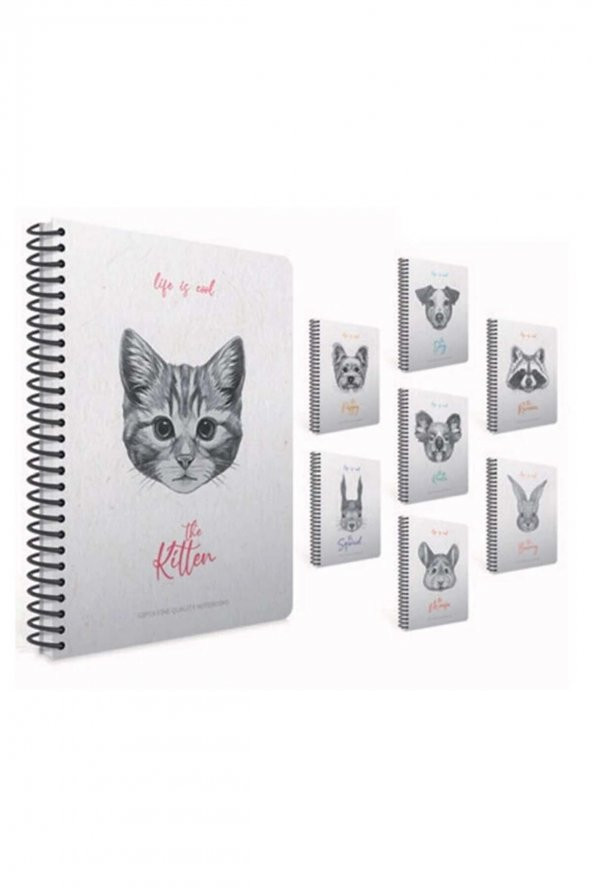 Gıpta Life Is Cool Spiralli Sert Kapak Defter 19x26cm 120 Yaprak Çizgili 4682 (karışık Renk 1 Adet) ürün görseli 1