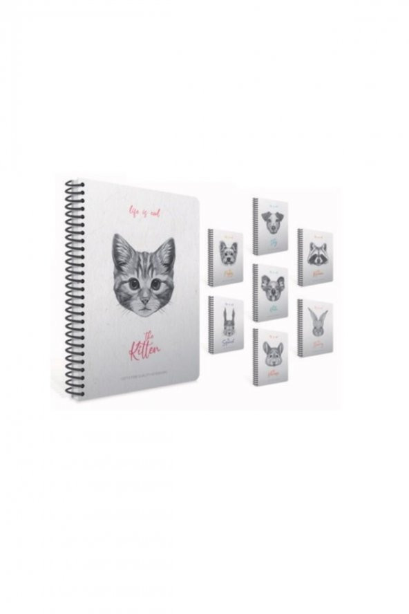Gıpta Life Is Cool Spiralli Sert Kapak Defter 17x24cm 120 Yaprak Çizgili 4684 (karışık Renk 1 Adet) ürün görseli 1