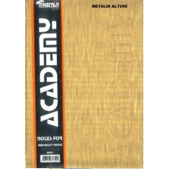 Defter 300 Yaprak Çizgili 20x28 Sert Kapak Ciltli ürün görseli 1
