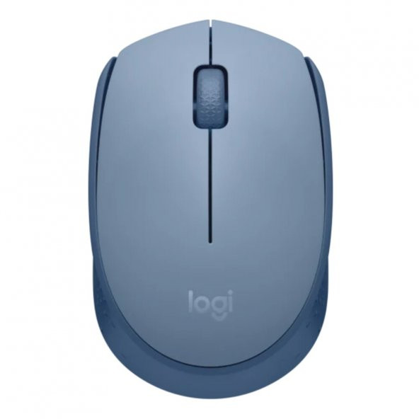 Logitech M171 Kablosuz Optik Mouse - Mavi-Gri - Resim 4