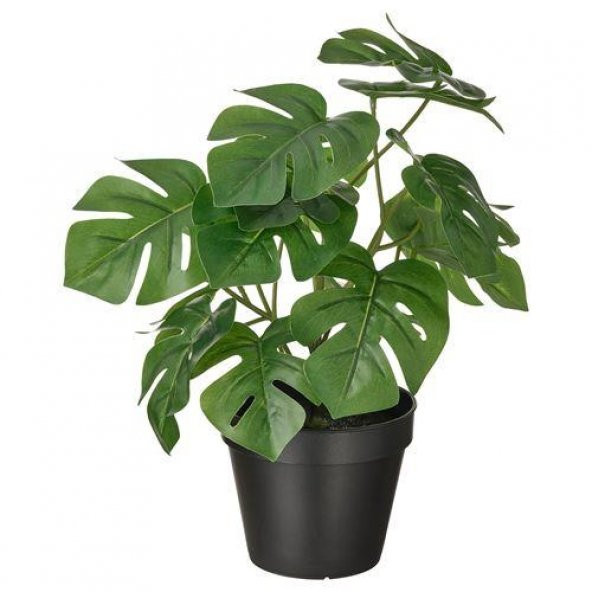 Yapay DeveTabanı Bitkisi MeridyenDukkan 12Cm Monstera Çiçeği İç-Dış Mekana Uygun ürün görseli 1