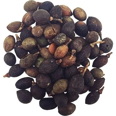 Dökme Tohumlar Defne Tohumu - 100 gr ürün görseli 1