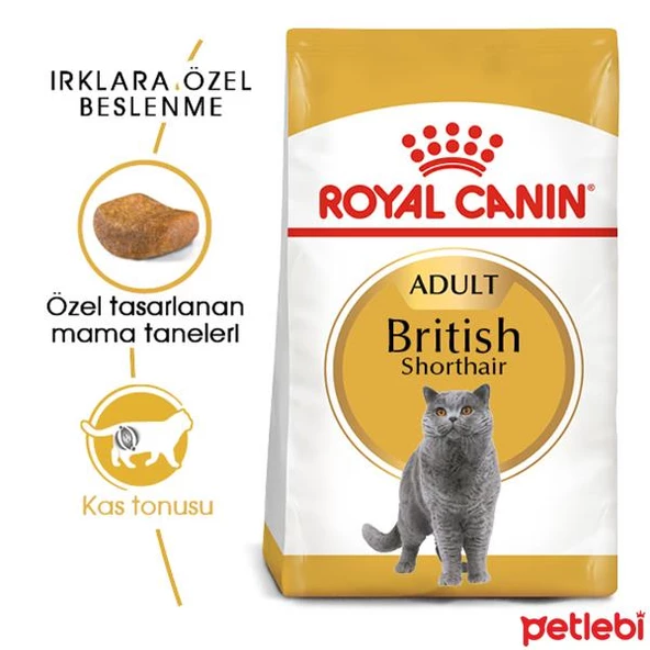 Royal Canin British Shorthair Adult 2 Kg ürün görseli 1