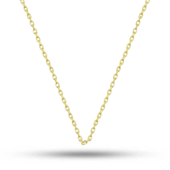 Gümüş Gold 0.30 Mikron 45 Cm Forse Kadın Zincir SL2563 ürün görseli 1