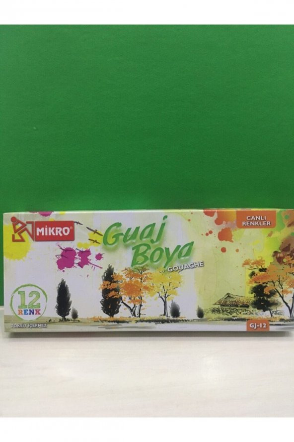 Mikro Guaj Boya 12 Renk Gj-12 - Resim 2