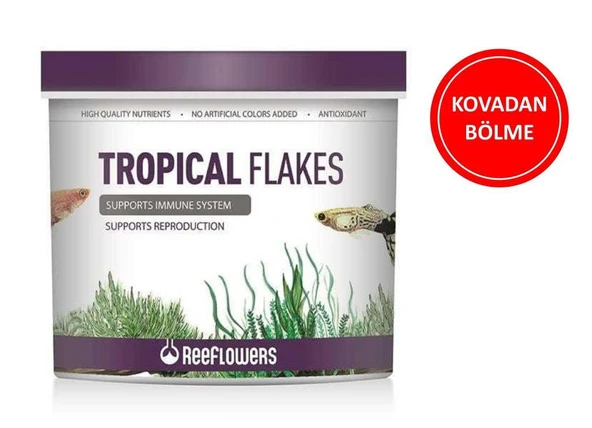 Reeflowers Tropical Flakes Balık Yemi ( Kovadan Bölme ) 50 GR ürün görseli 1