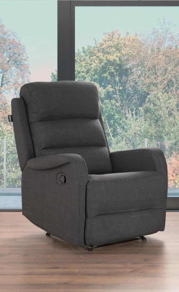 Niron Comfort Intense Fonksiyonel Tekli Koltuk TV / Baba Koltuğu - Berjer ürün görseli 1