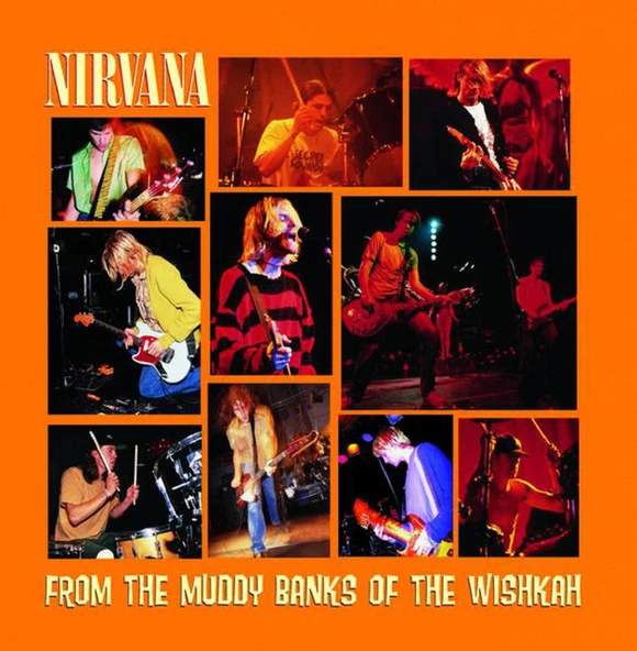 NIRVANA - FROM THE MUDDY BANKS OF THE WISHKAH (CD) (1996) ürün görseli 1